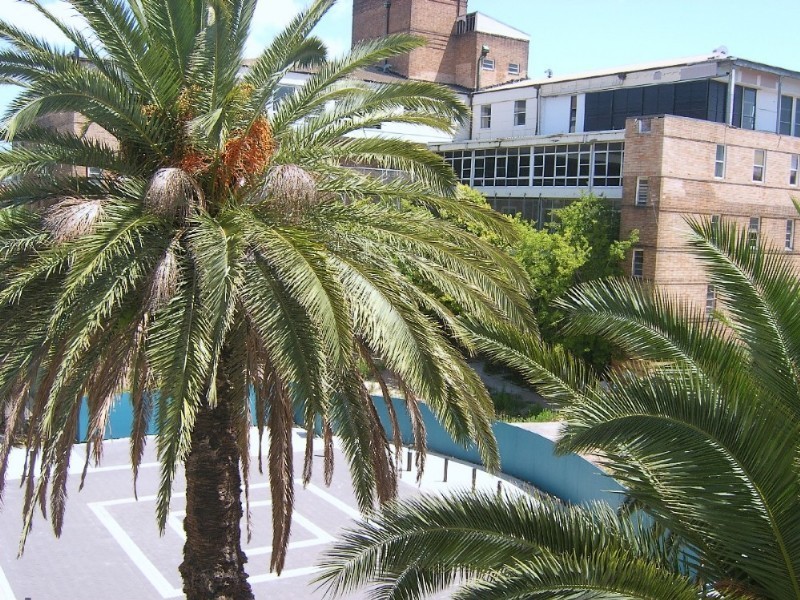 2604/4 Sterling Circuit, Camperdown NSW 2050