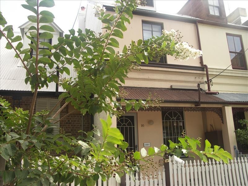 16 Colbourne Avenue, Glebe NSW 2037