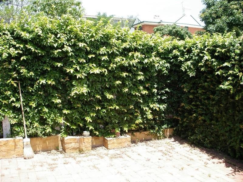 193 Denison Street, Newtown NSW 2042