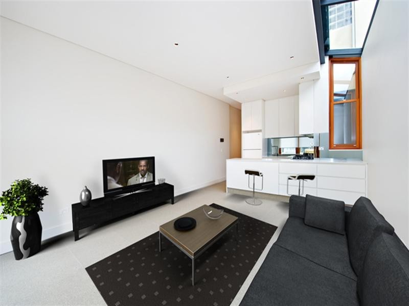 117 Chelmsford Street, Newtown NSW 2042