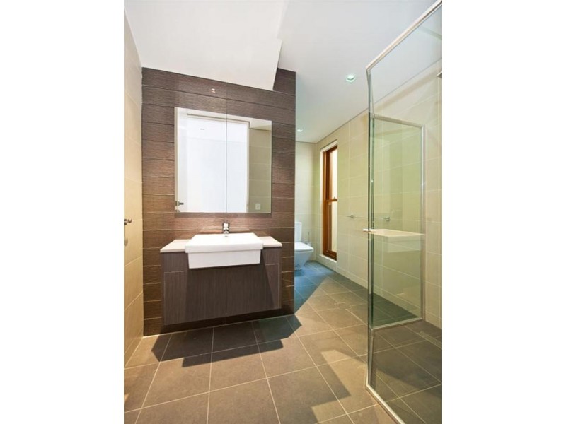 117 Chelmsford Street, Newtown NSW 2042