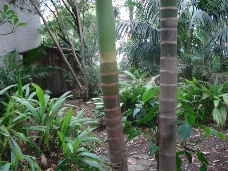 35 Munni Street, Newtown NSW 2042