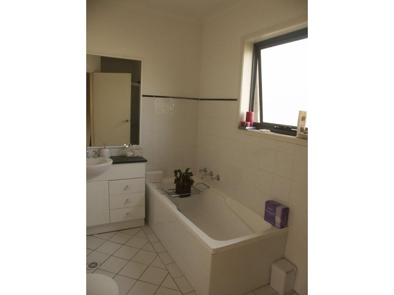 11/165 Catherine Street, Leichhardt NSW 2040