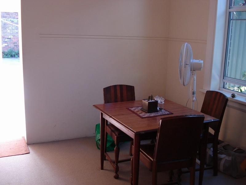 85 Hutchinson Street, St Peters NSW 2044