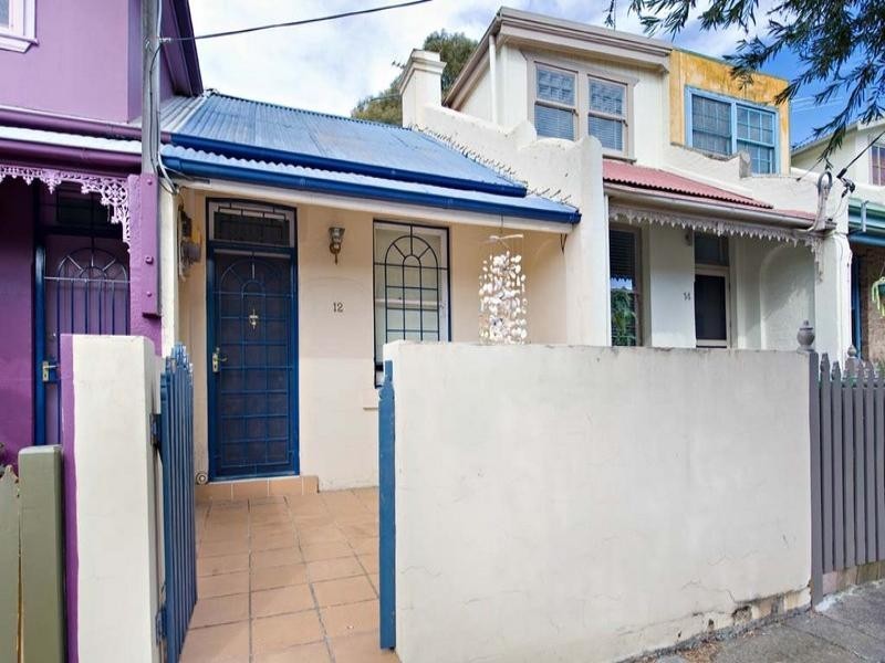 12 Florence Street, St Peters NSW 2044