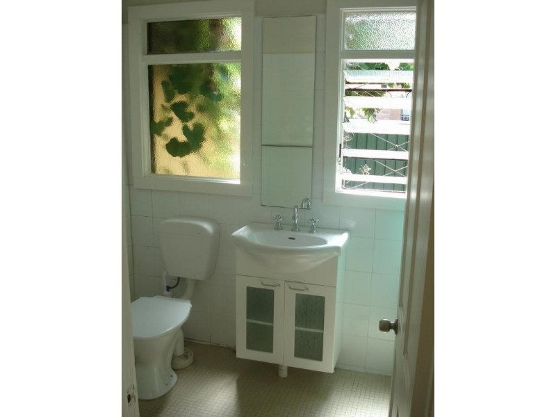 22 Bucknell Street, Newtown NSW 2042