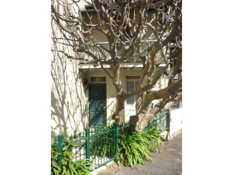 56 Baltic Street, Newtown NSW 2042