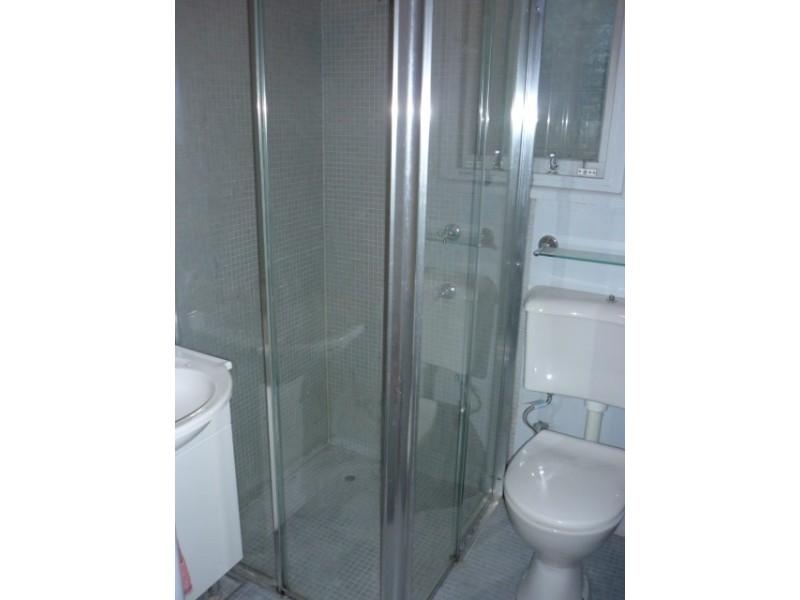 56 Baltic Street, Newtown NSW 2042