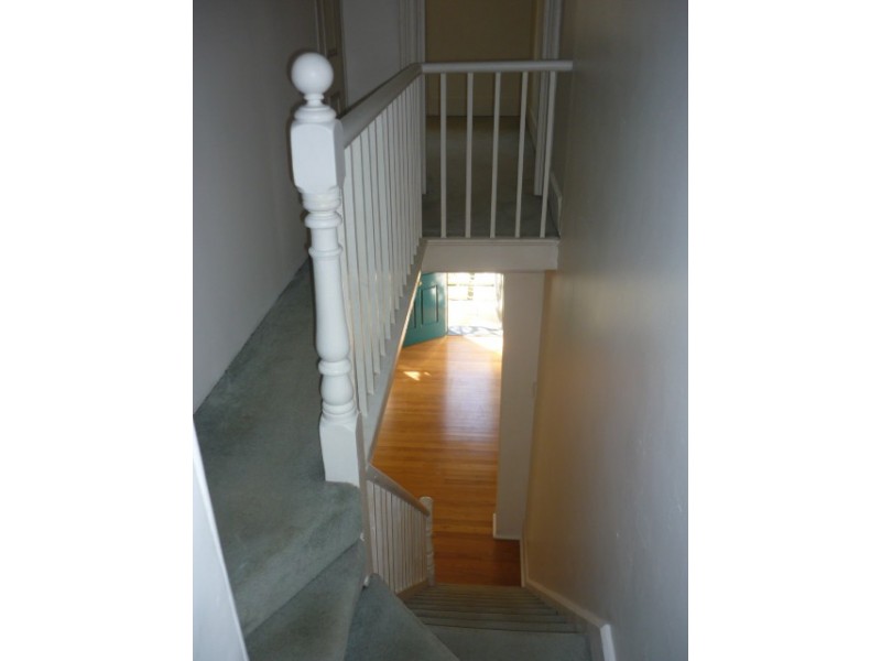 56 Baltic Street, Newtown NSW 2042