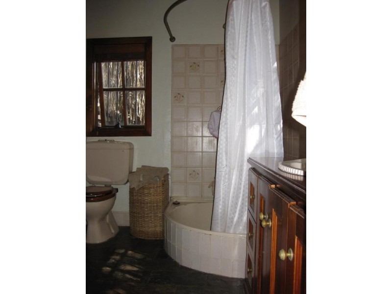 19 Ferndale Street, Newtown NSW 2042