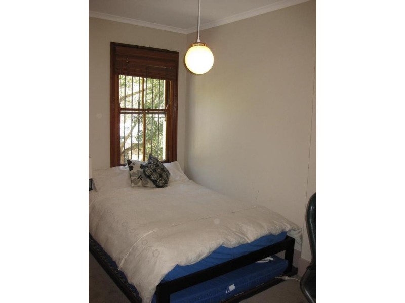 19 Ferndale Street, Newtown NSW 2042