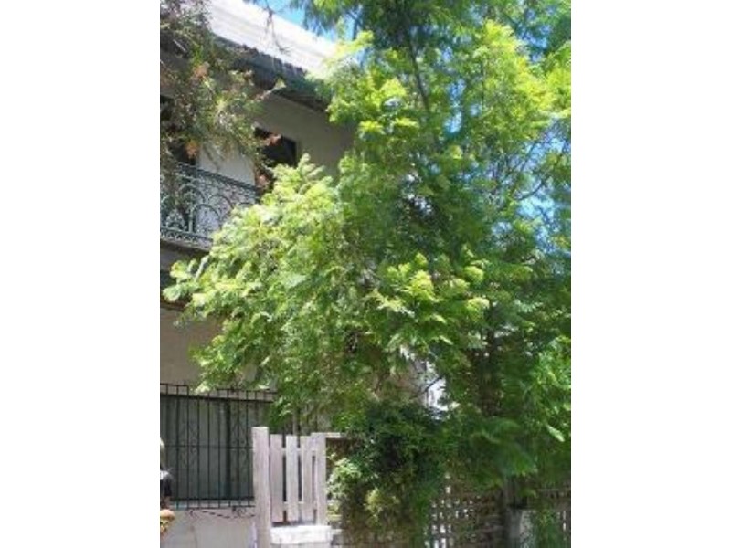 93 Trafalgar Street, Annandale NSW 2038