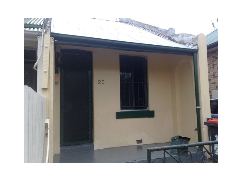 20 Florence Street, St Peters NSW 2044