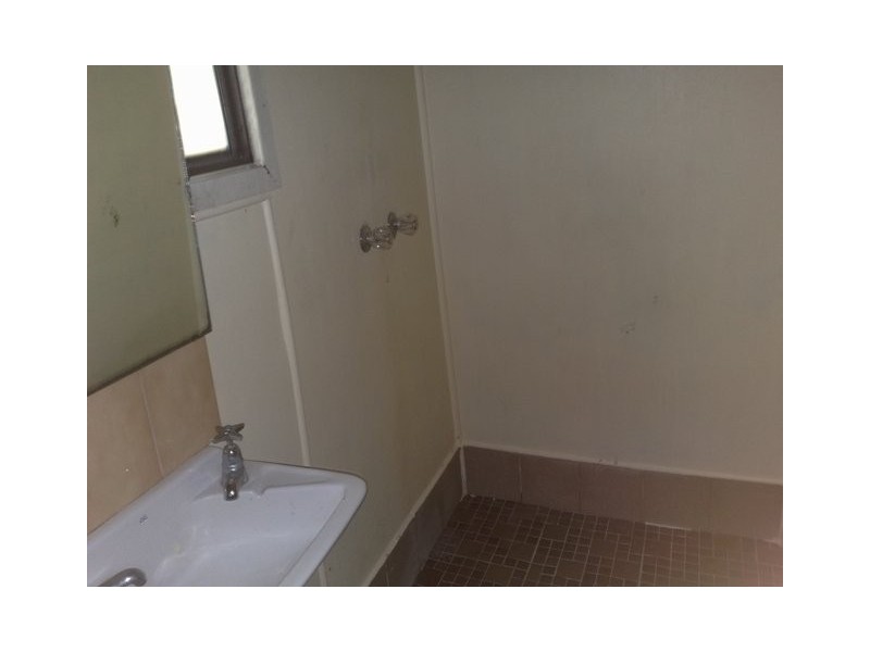 20 Florence Street, St Peters NSW 2044