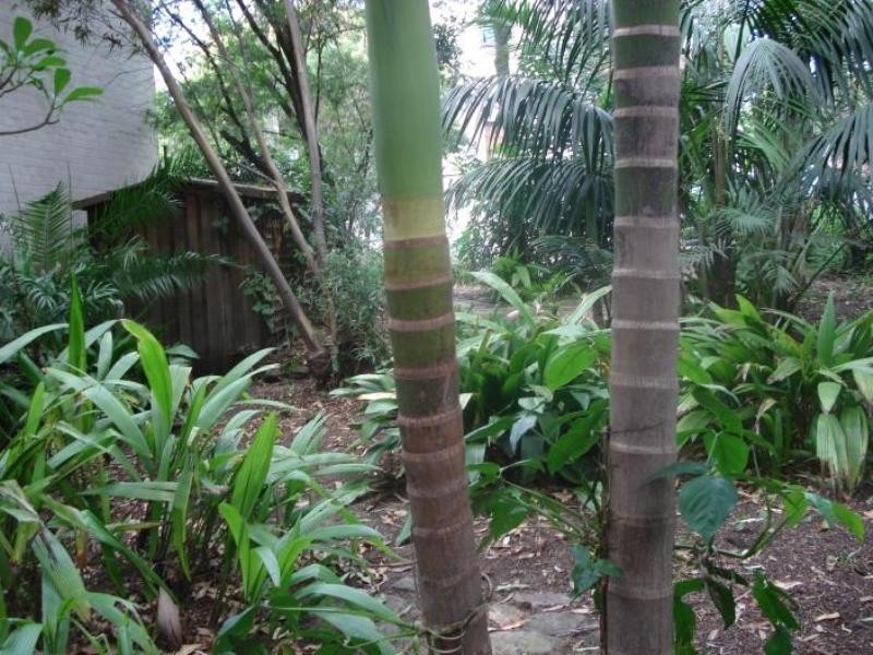 35 Munni Street, Newtown NSW 2042