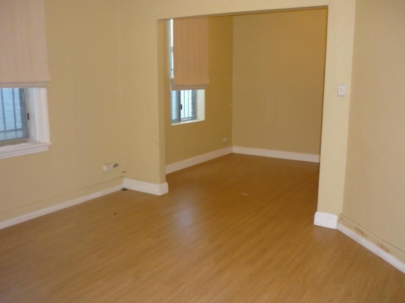 87 Hutchinson Street, St Peters NSW 2044