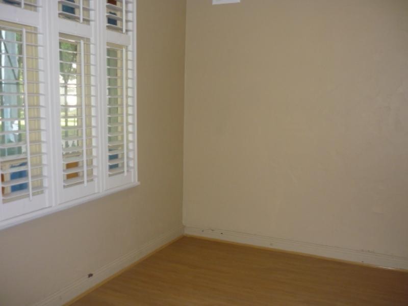 87 Hutchinson Street, St Peters NSW 2044