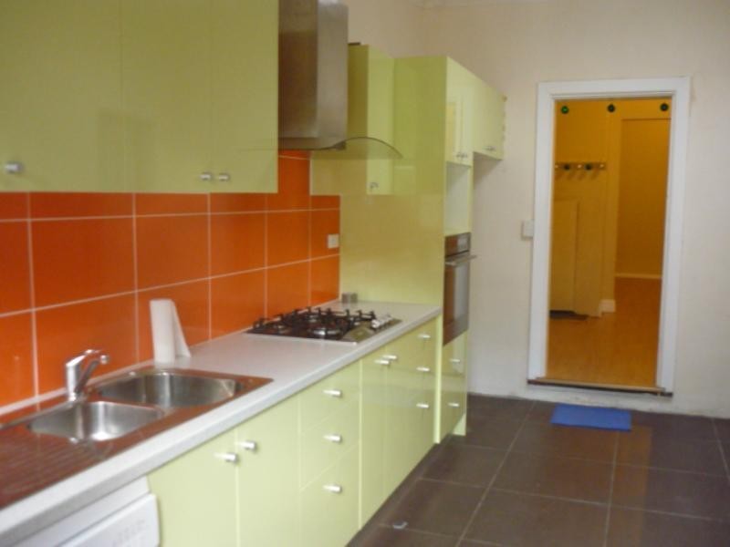 87 Hutchinson Street, St Peters NSW 2044