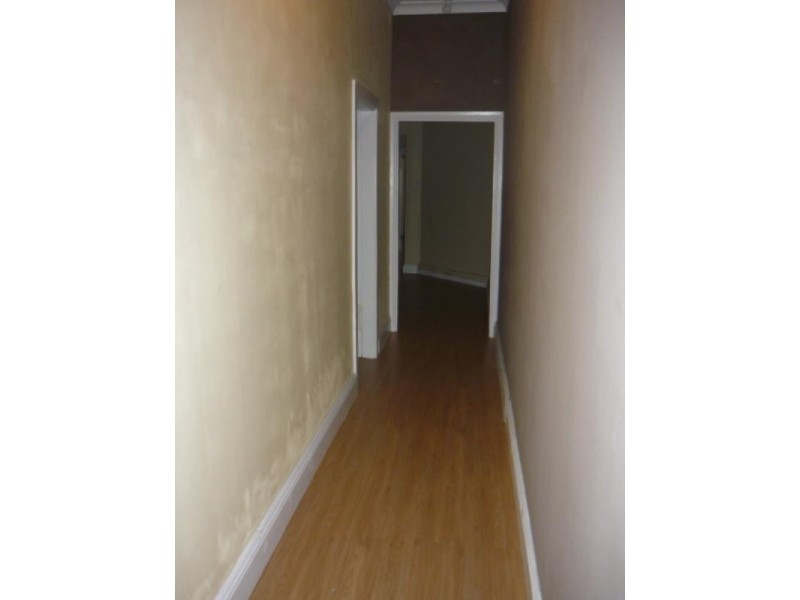 87 Hutchinson Street, St Peters NSW 2044