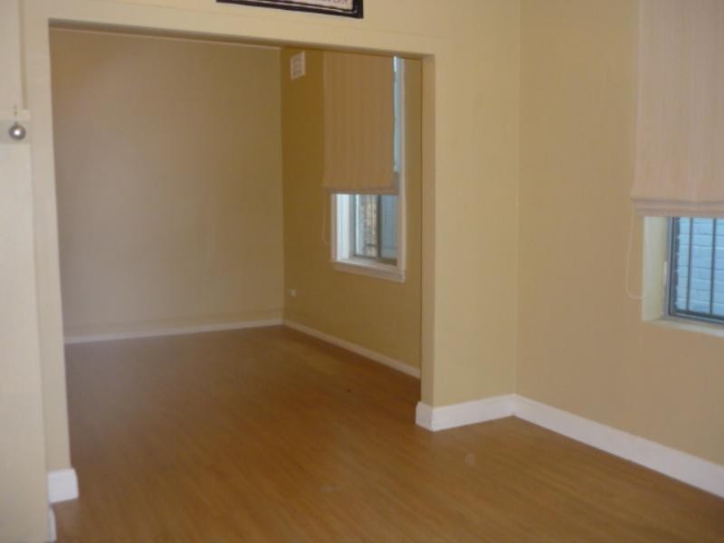 87 Hutchinson Street, St Peters NSW 2044