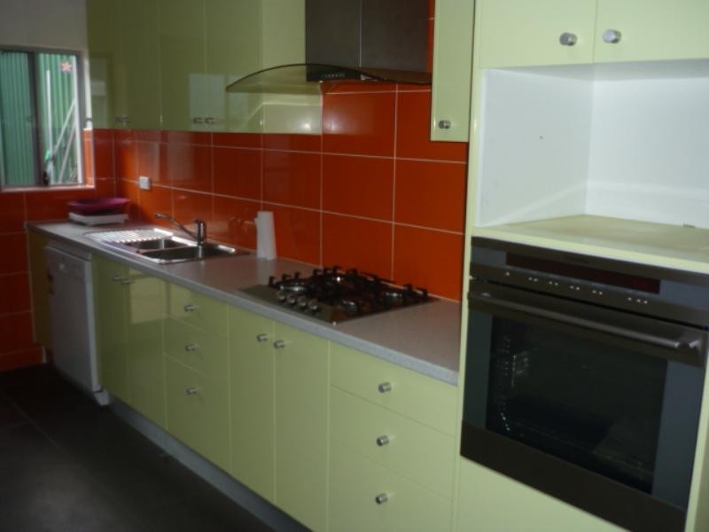 87 Hutchinson Street, St Peters NSW 2044