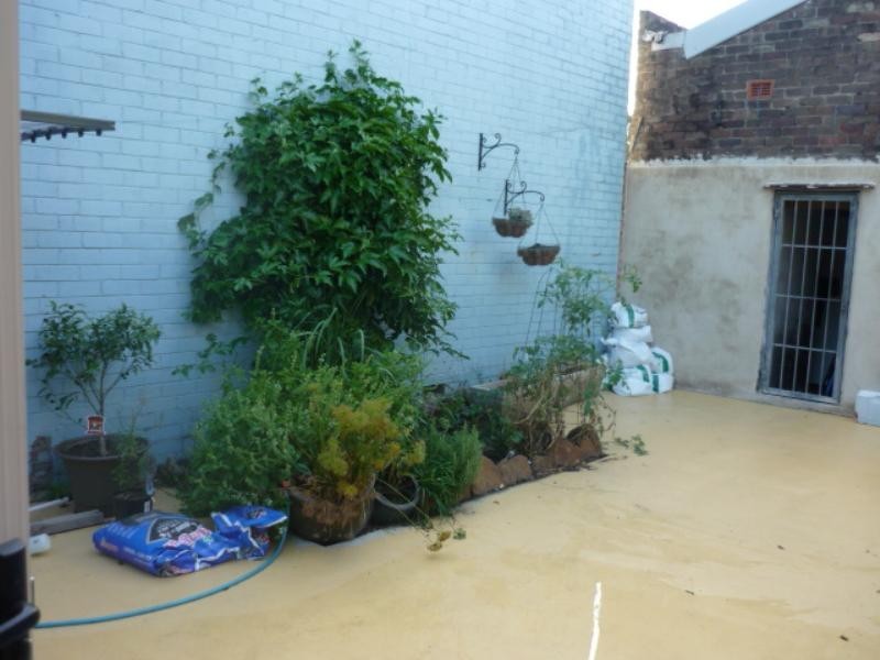 87 Hutchinson Street, St Peters NSW 2044