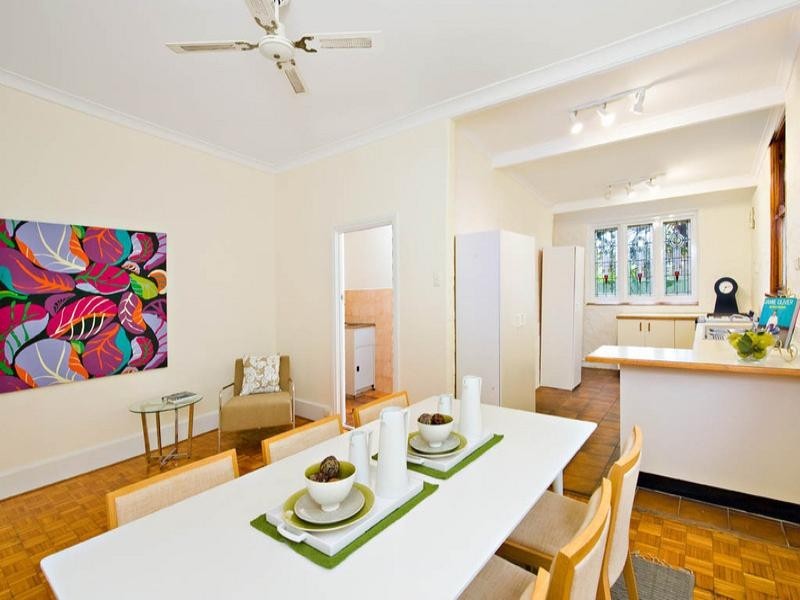 17 Sutherland Street, St Peters NSW 2044