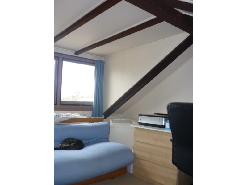 56 Rose Street, Chippendale NSW 2008