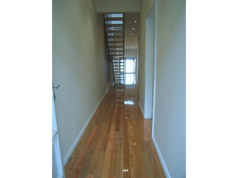 3 Newman Street, Newtown NSW 2042