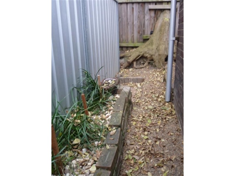 6 Isabella Street, Camperdown NSW 2050