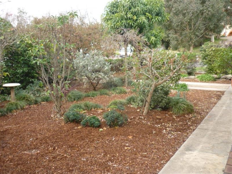 40 Riverview Road, Earlwood NSW 2206