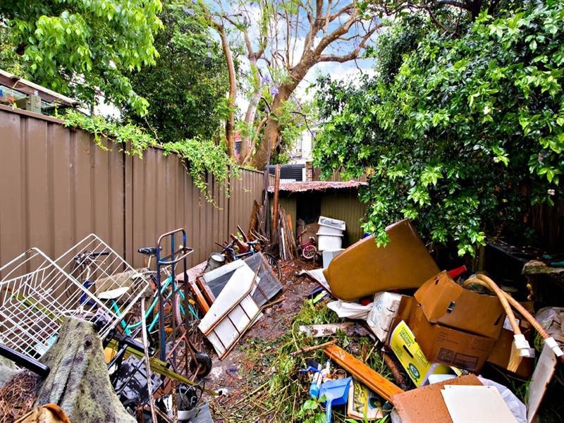 24 Gibbes Street, Newtown NSW 2042