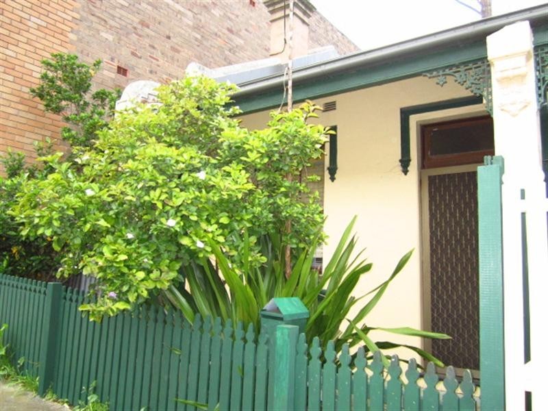 48 Hutchinson Street, St Peters NSW 2044