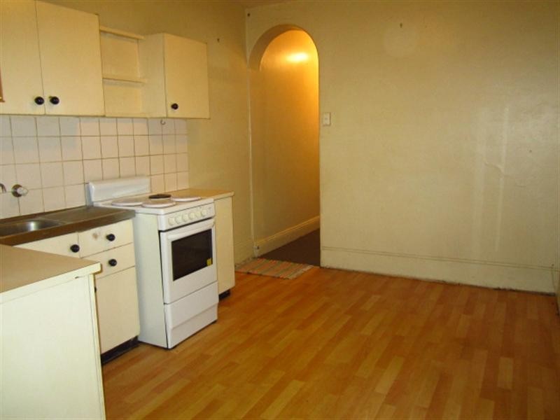 48 Hutchinson Street, St Peters NSW 2044