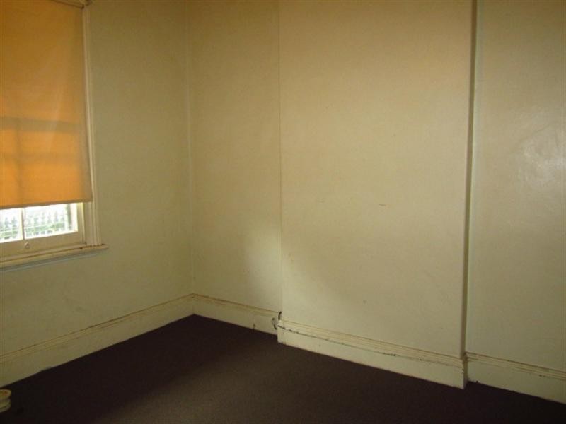 48 Hutchinson Street, St Peters NSW 2044