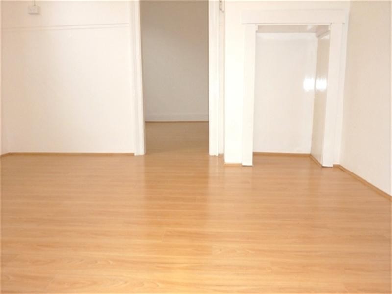 85 Hutchinson Street, St Peters NSW 2044