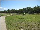 Lot 80 Cnr Innes Drive & Montana Street, Deeragun QLD 4818