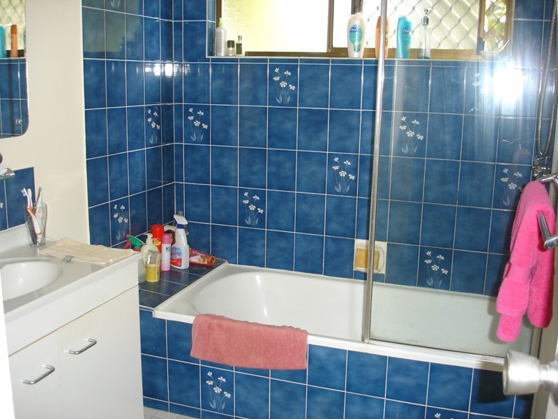 3 Pentas Court, Annandale QLD 4814