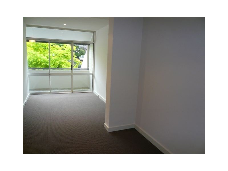 41 Cameron Street, Edgecliff NSW 2027