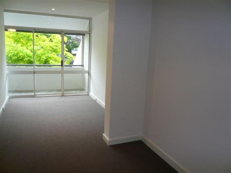 41 Cameron Street, Edgecliff NSW 2027