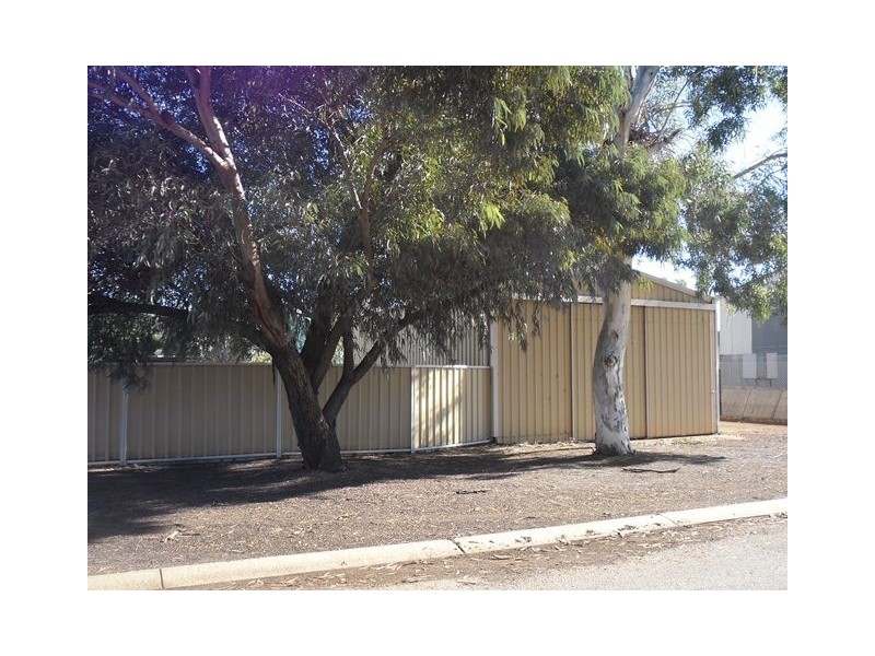 55 Carter Street, Three Springs WA 6519