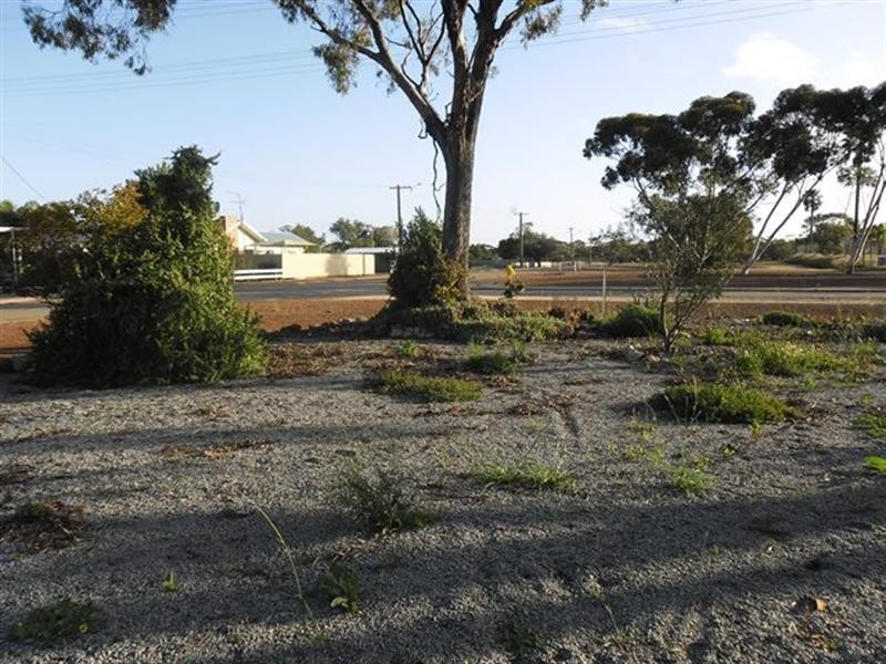 37 Mayrhofer Street, Three Springs WA 6519