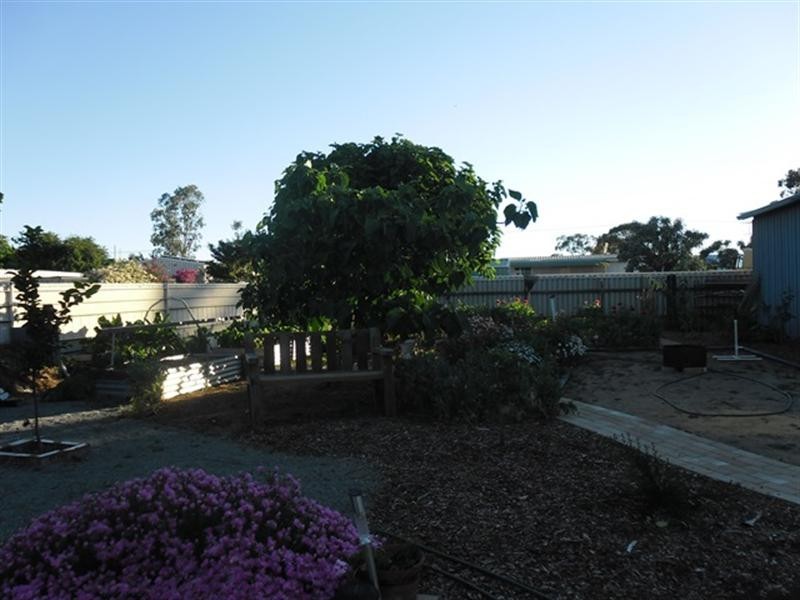 20/21 Railway Avenue, Carnamah WA 6517