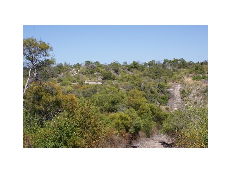 Lot 120 Springfield Drive, Springfield WA 6525