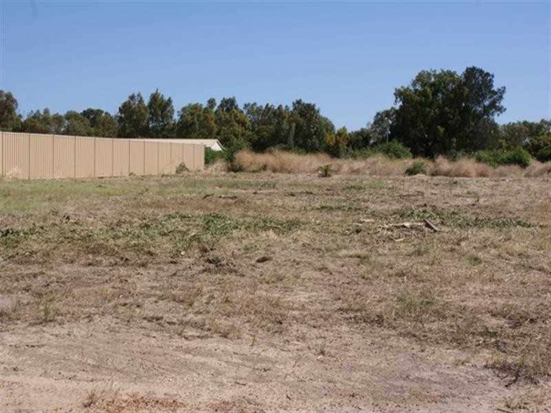 14 Cardwell Gardens, Dongara WA 6525