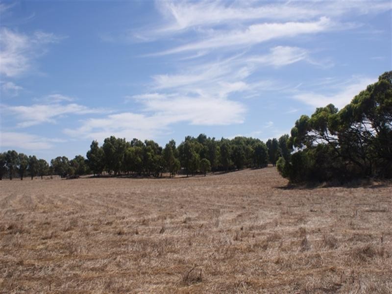 118 Acacia Road, Yardarino WA 6525