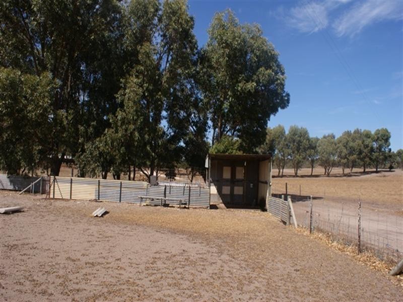 118 Acacia Road, Yardarino WA 6525