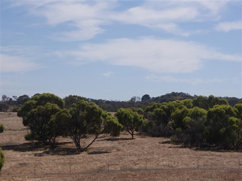 118 Acacia Road, Yardarino WA 6525