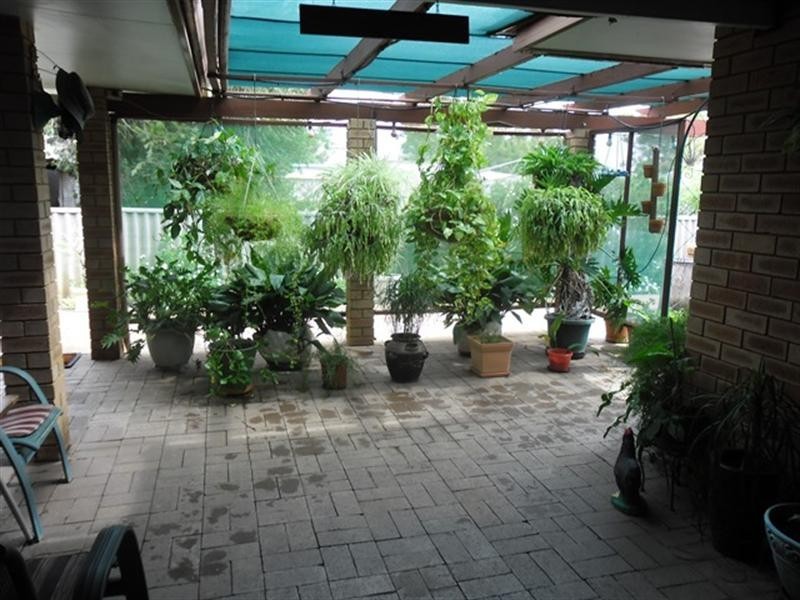 17 Slaughter Street, Three Springs WA 6519