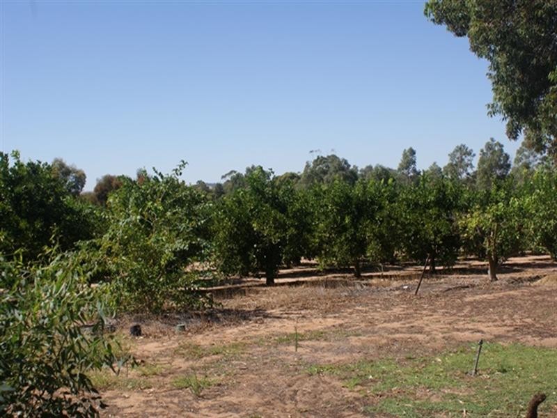 26742 Midlands Road, Irwin WA 6525